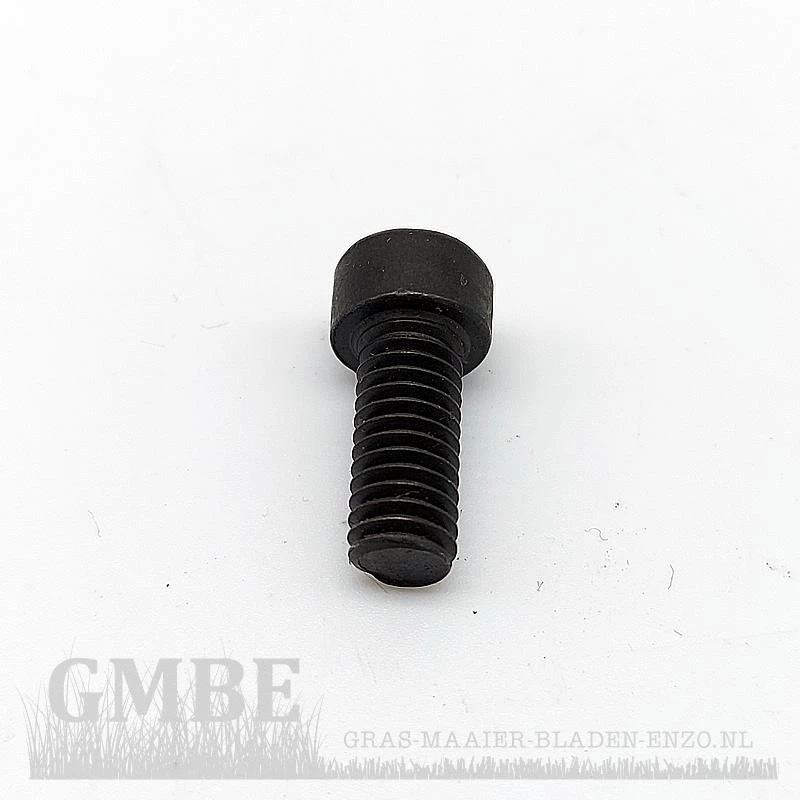 Allen bolt sanding disc for PowerPlus POWX0476 / POWX04760
