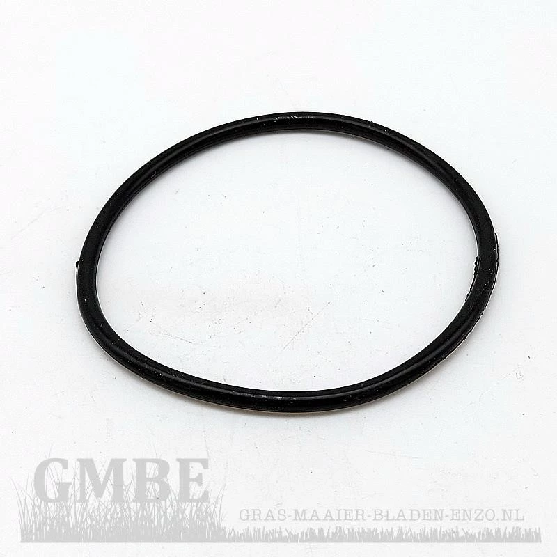 O-ring (in lid water filter) for PowerPlus POWXG9442
