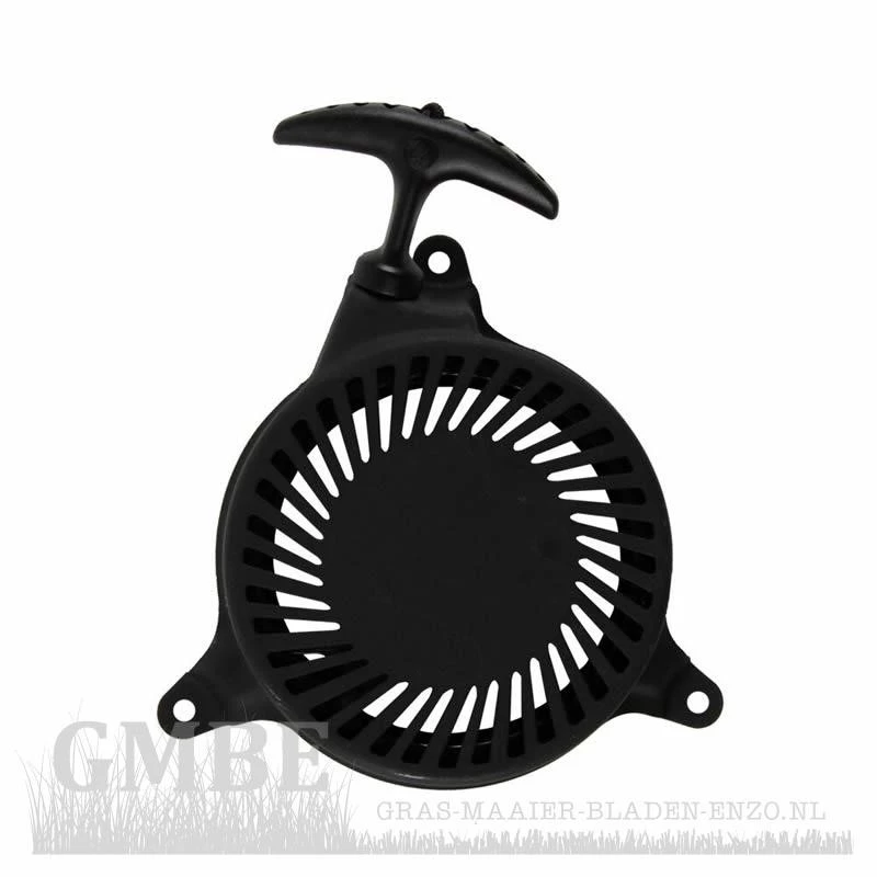 Starterkit für verschiedene MTD-Motoren