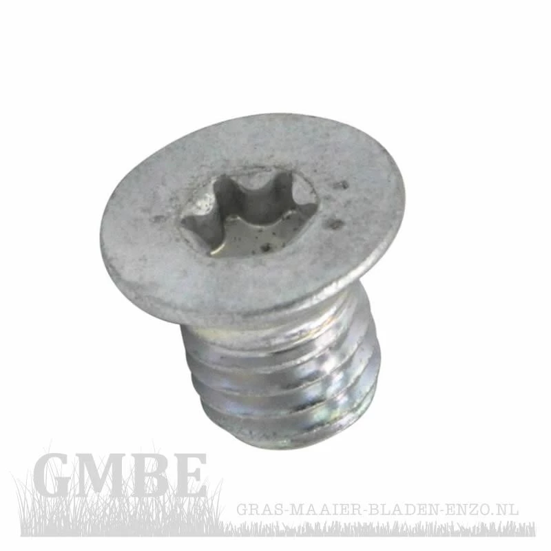 M8X10 Allen screw AL-KO (4 pieces)
