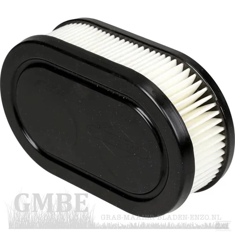 Briggs & Stratton Air Filter for Model 104M02-0136-H1