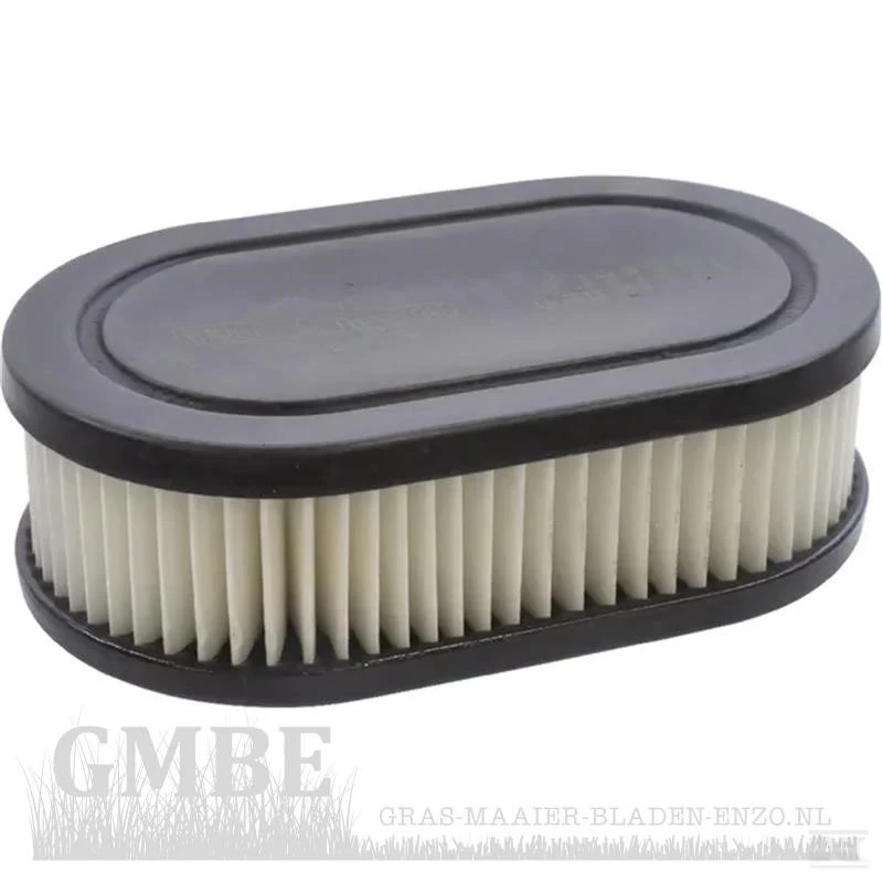 Briggs & Stratton Air Filter for Model 104M02-0136-H1