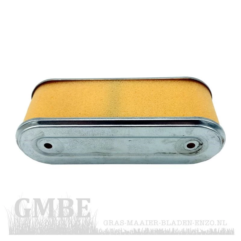 Cartouche de filtre à air pour PowerPlus POW63670 (jusqu'au modèle 2010)
