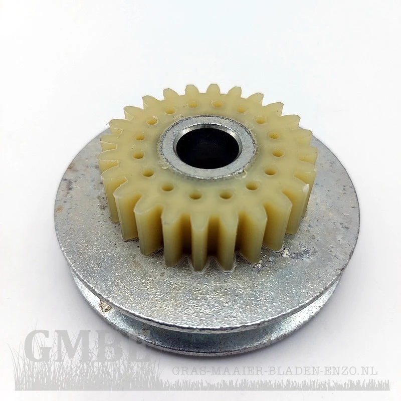 Engrenage (petit) pour PowerPlus POWXG7214