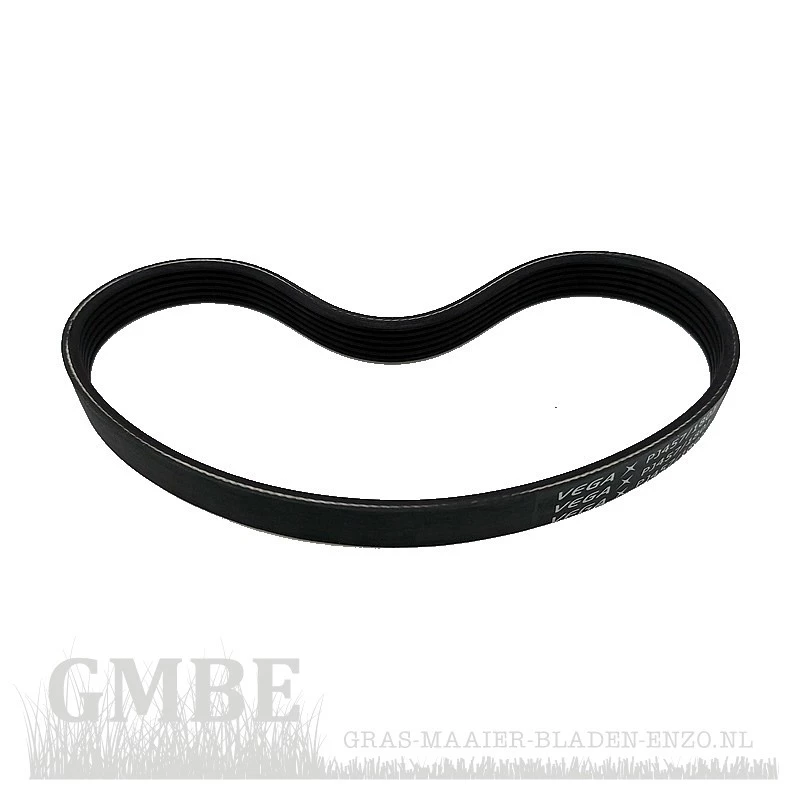 Courroie d'entraînement pour PowerPlus POWXG6130 / POWXG 6150 / POWXG6180 et Garden Feelings GF 1700