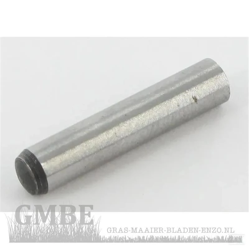 Drive shaft pin for driving gears for PowerPlus POWPG10120 (4.9mm * 21.5mm)