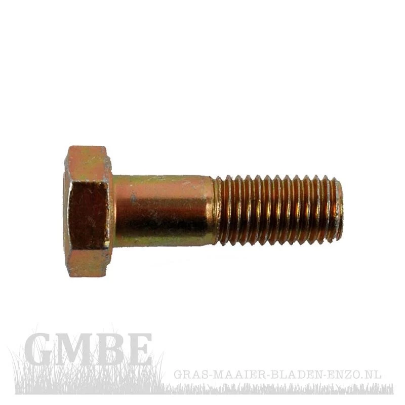 Blade bolt 5/16-24:1.00 for MTD 12/91 (136H451E659)