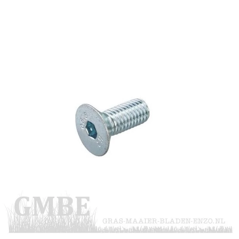 Vis pour Wolf-Garten SDE 2100 / SDE 2500 (4 pièces)