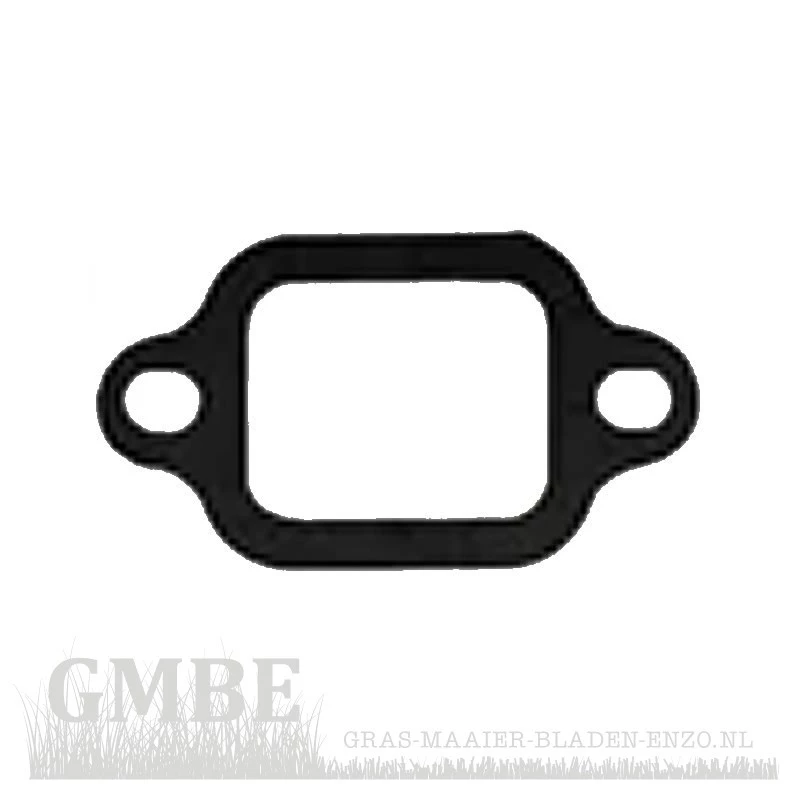 Intake Pipe Gasket for Tecumseh OHV358EA