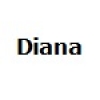 Diana 7080RT parts